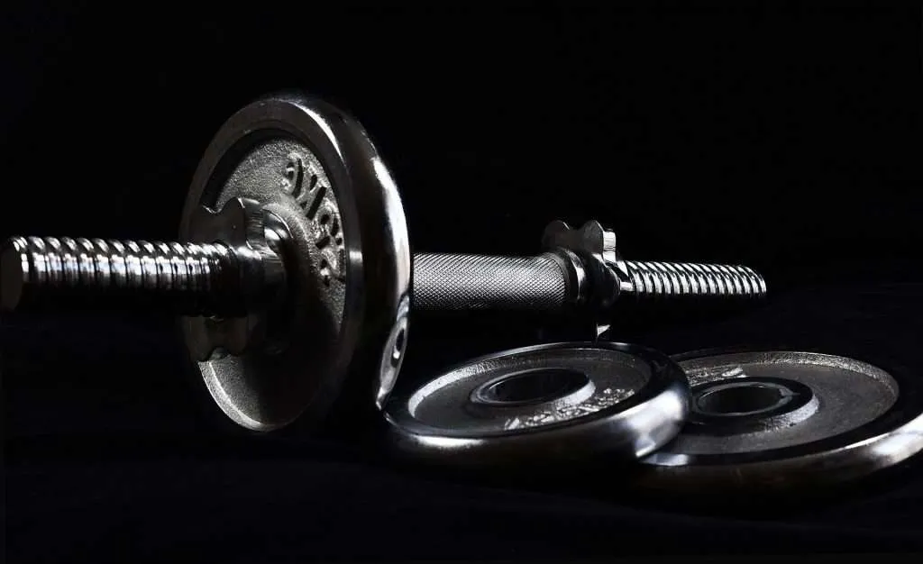Example of a plate-loaded adjustable dumbbell with spin-lock
