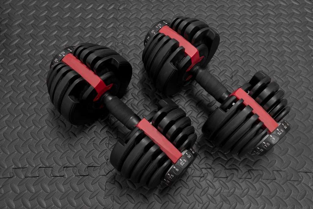 Example of Home Gym Equipment: Adjustable Dumbbells