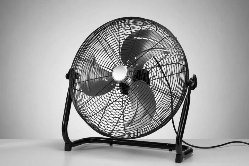 Best Fan for Home Gym